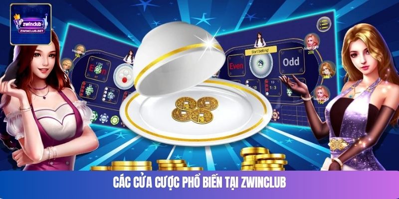 Các cửa cược phổ biến tại Zwinclub