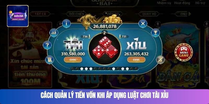 Cách quản lý tiền vốn khi áp dụng luật chơi tài xỉu