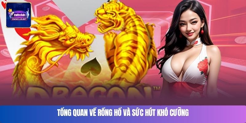 Tổng quan về Rồng Hổ và sức hút khó cưỡng
