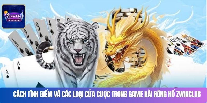 Cách tính điểm và các loại cửa cược trong game bài rồng hổ Zwinclub