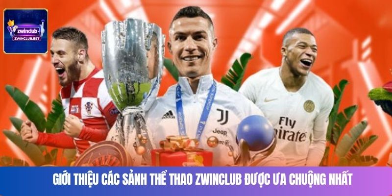 Giới thiệu các sảnh thể thao Zwinclub được ưa chuộng nhất